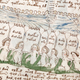 Imagen para el artículo titulado Dos programadores creen haber descifrado mediante algoritmos el idioma secreto del misterioso códice Voynich